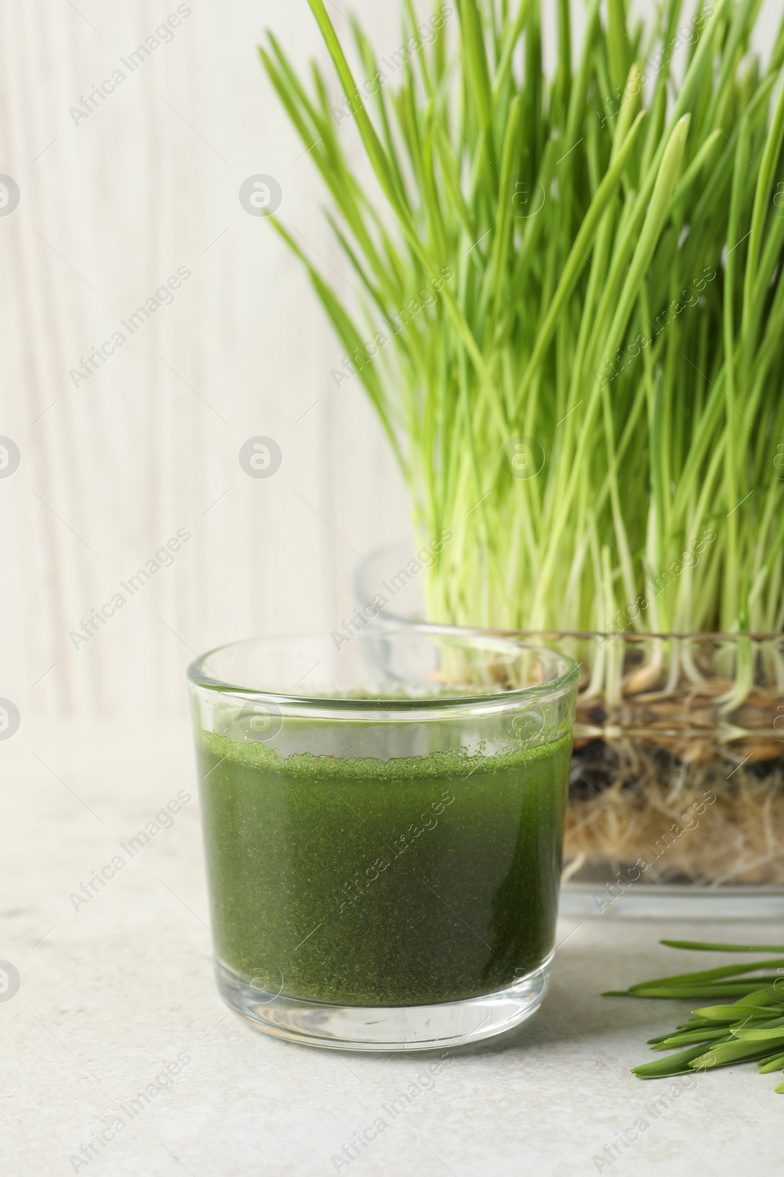 Photo of Wheat grass drink in glass and fresh sprouts on light table