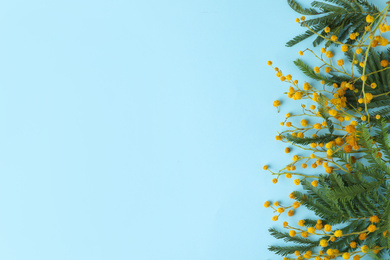 Photo of Flat lay composition with mimosa flowers on light blue background, space for text. Spring season