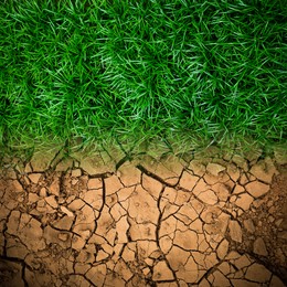 Dry cracked land and green grass, top view
