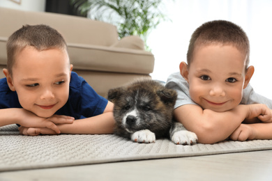 Photo of Little boys with Akita inu puppy on floor at home. Friendly dog