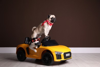 Photo of Funny pug dog and cat with sunglasses in toy car near brown wall indoors