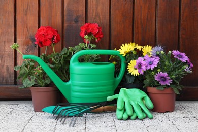 Photo of Beautiful flowers in pots, gardening tools and rubber gloves on pavement near wooden wall