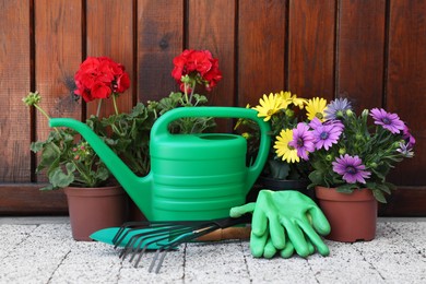 Beautiful flowers in pots, gardening tools and rubber gloves on pavement near wooden wall