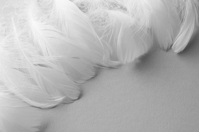 Photo of Fluffy white feathers on light background, closeup. Space for text