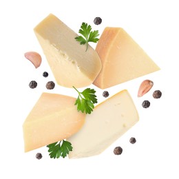 Image of Different kinds of cheese, parsley, garlic and peppercorns falling on white background