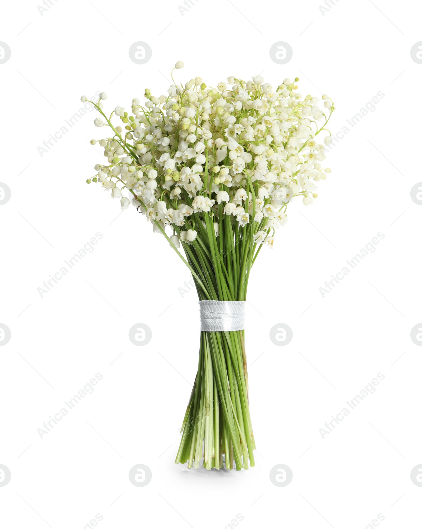 Photo of Beautiful lily of the valley bouquet on white background