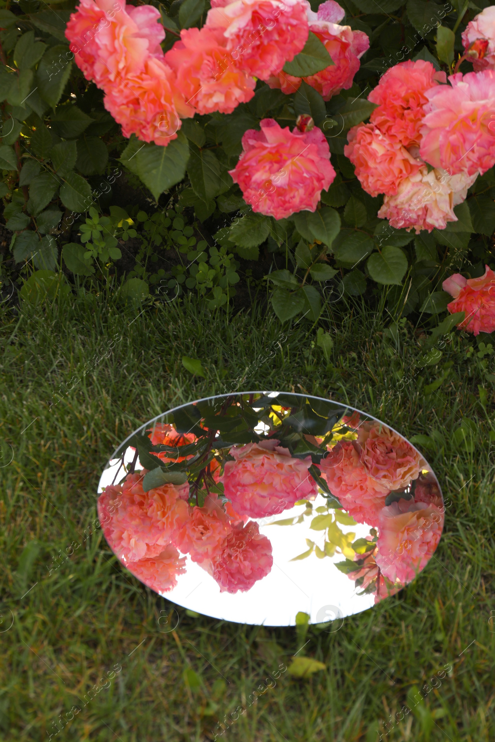 Photo of Round mirror on grass reflecting beautiful flowers and sky