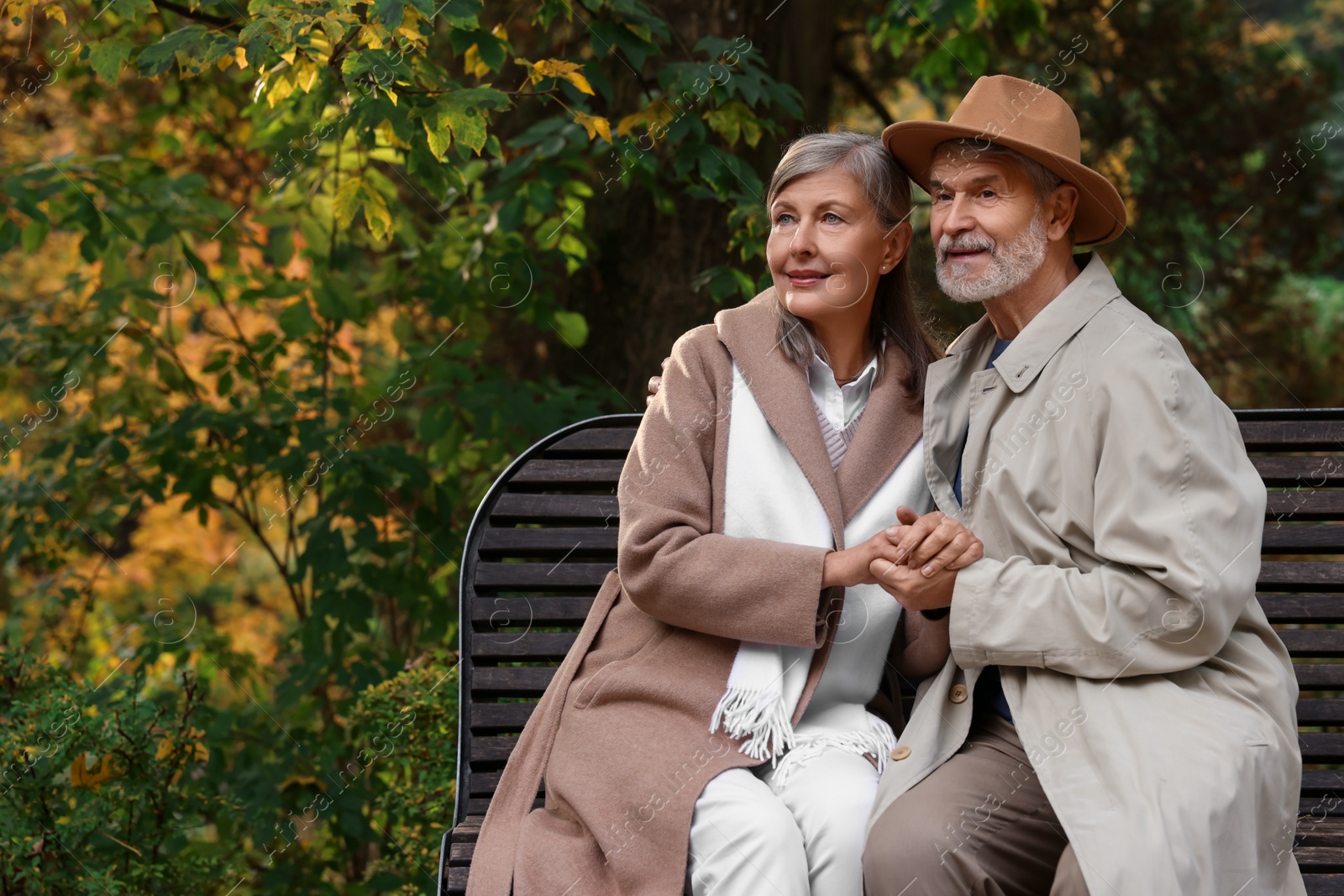 Photo of Affectionate senior couple on wooden bench in autumn park, space for text