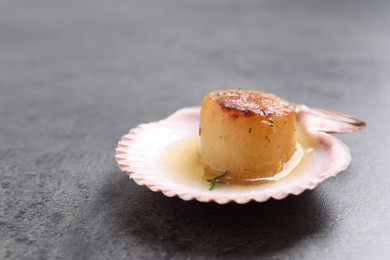 Delicious fried scallop in shell on grey table, closeup