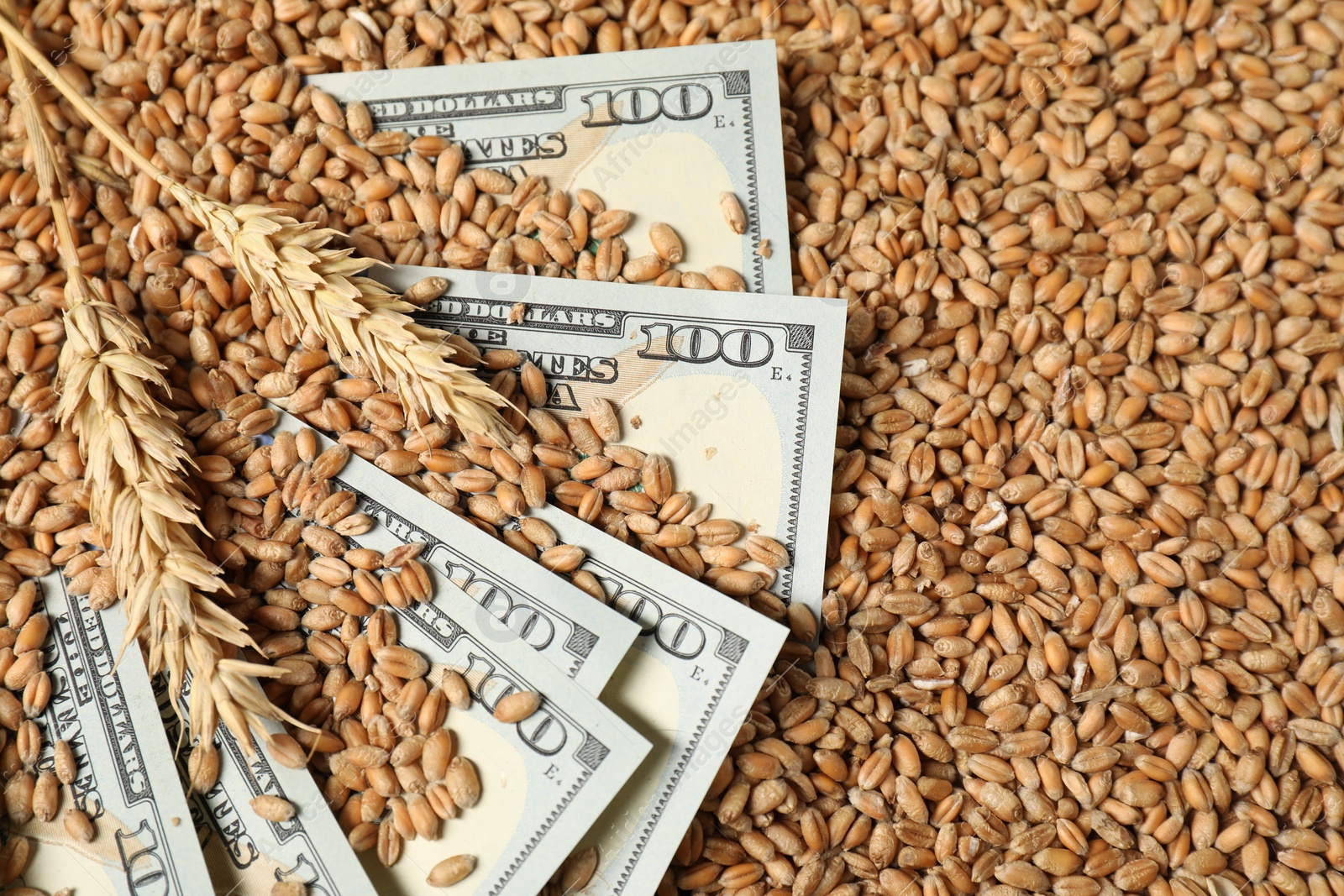 Photo of Dollar banknotes and wheat ears on grains, above view. Agricultural business