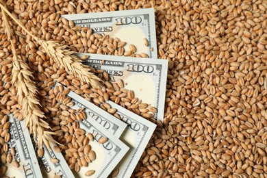 Photo of Dollar banknotes and wheat ears on grains, above view. Agricultural business