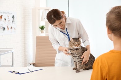 Photo of Boy with his pet visiting veterinarian in clinic. Doc examining cat