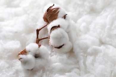 Photo of Closeup view of soft flowers on clean cotton