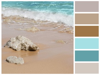 Color palette appropriate to photo of beautiful sandy beach and sea