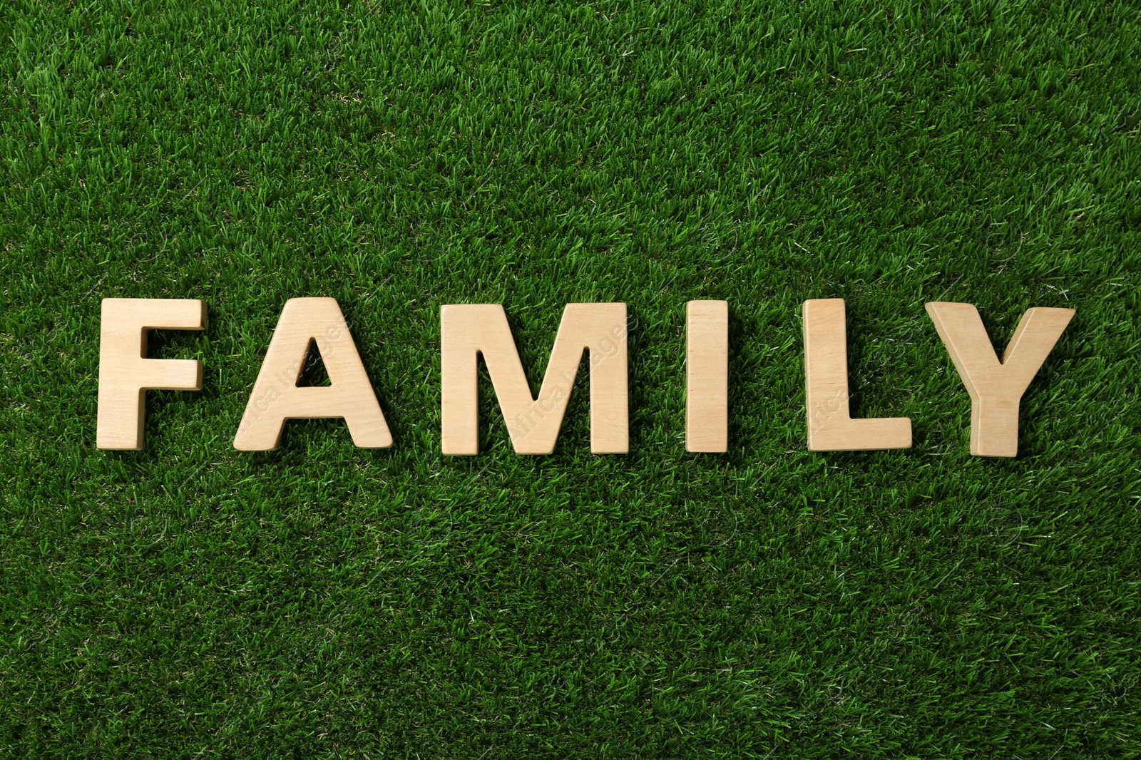 Photo of Word Family made with wooden letters on green grass, flat lay