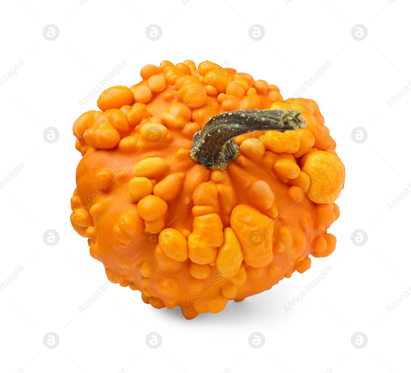 Photo of One whole ripe pumpkin isolated on white