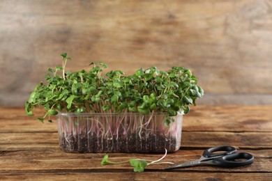 Photo of Fresh radish microgreens in plastic container and scissors on wooden table