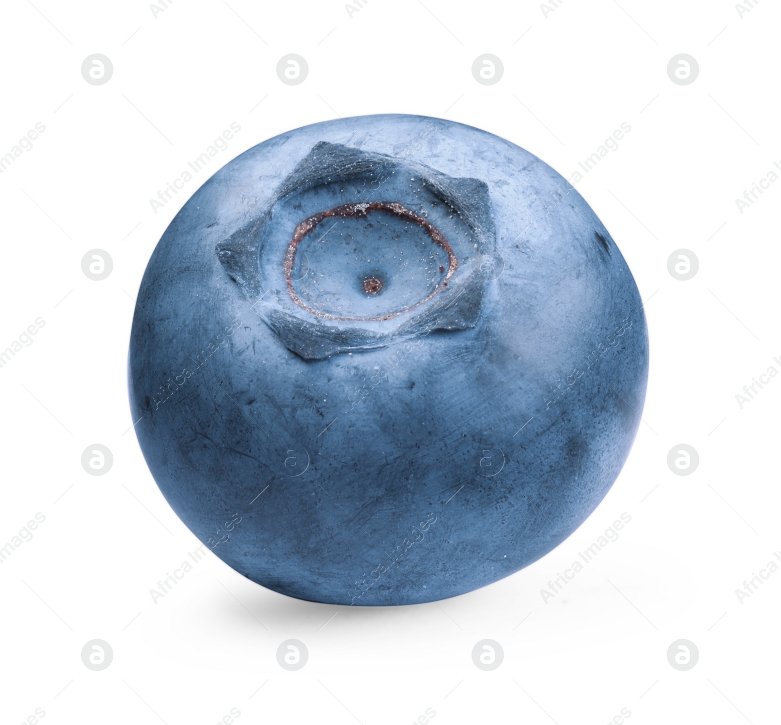 Photo of One ripe tasty blueberry isolated on white