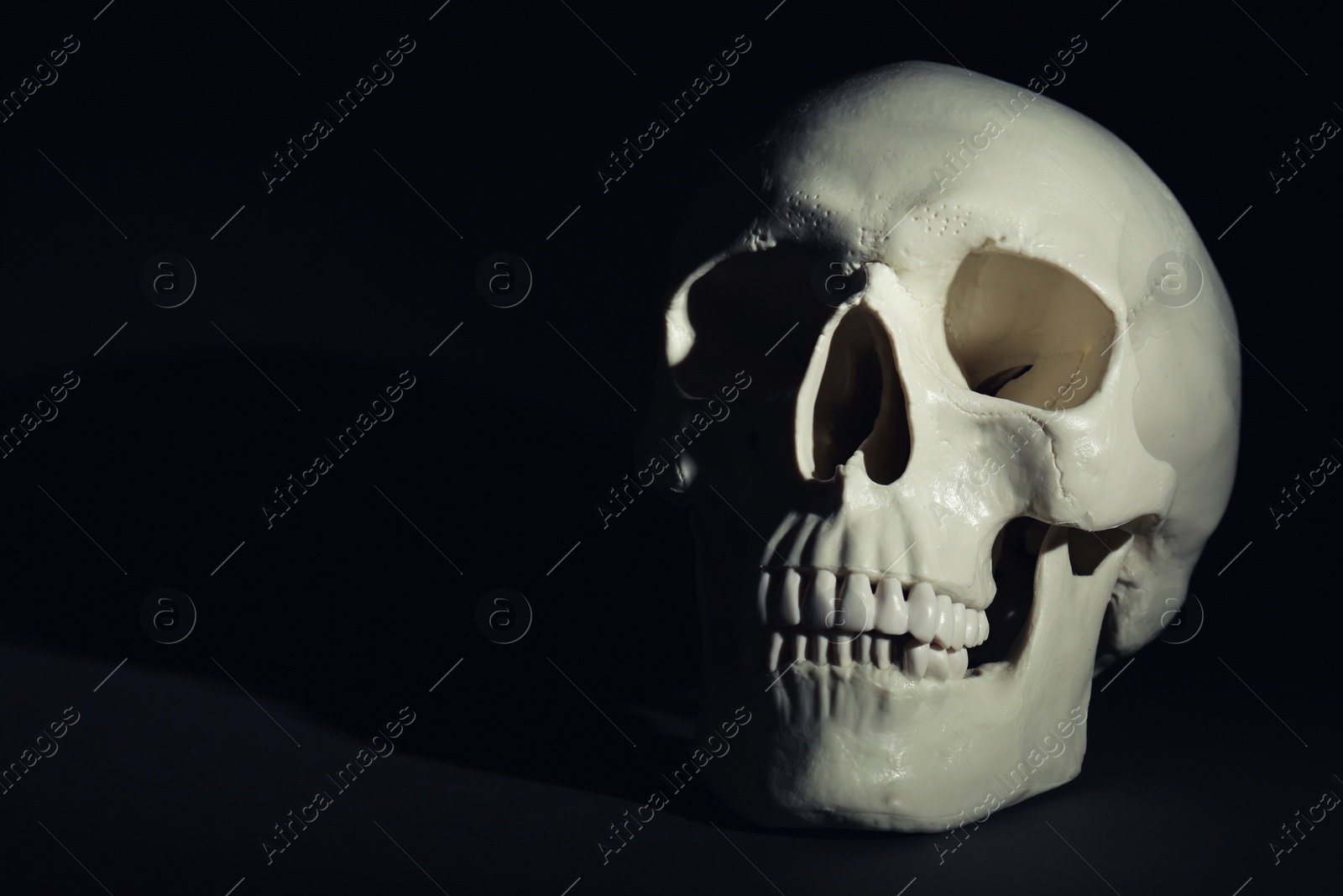 Photo of White human skull on black background, space for text