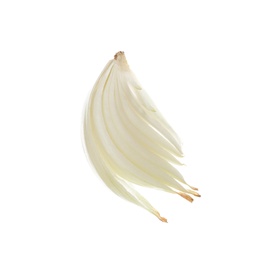 Photo of Slice of fresh ripe onion on white background