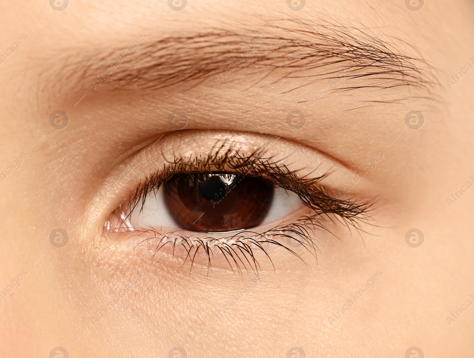 Photo of Little girl, closeup of eye. Visiting ophthalmologist