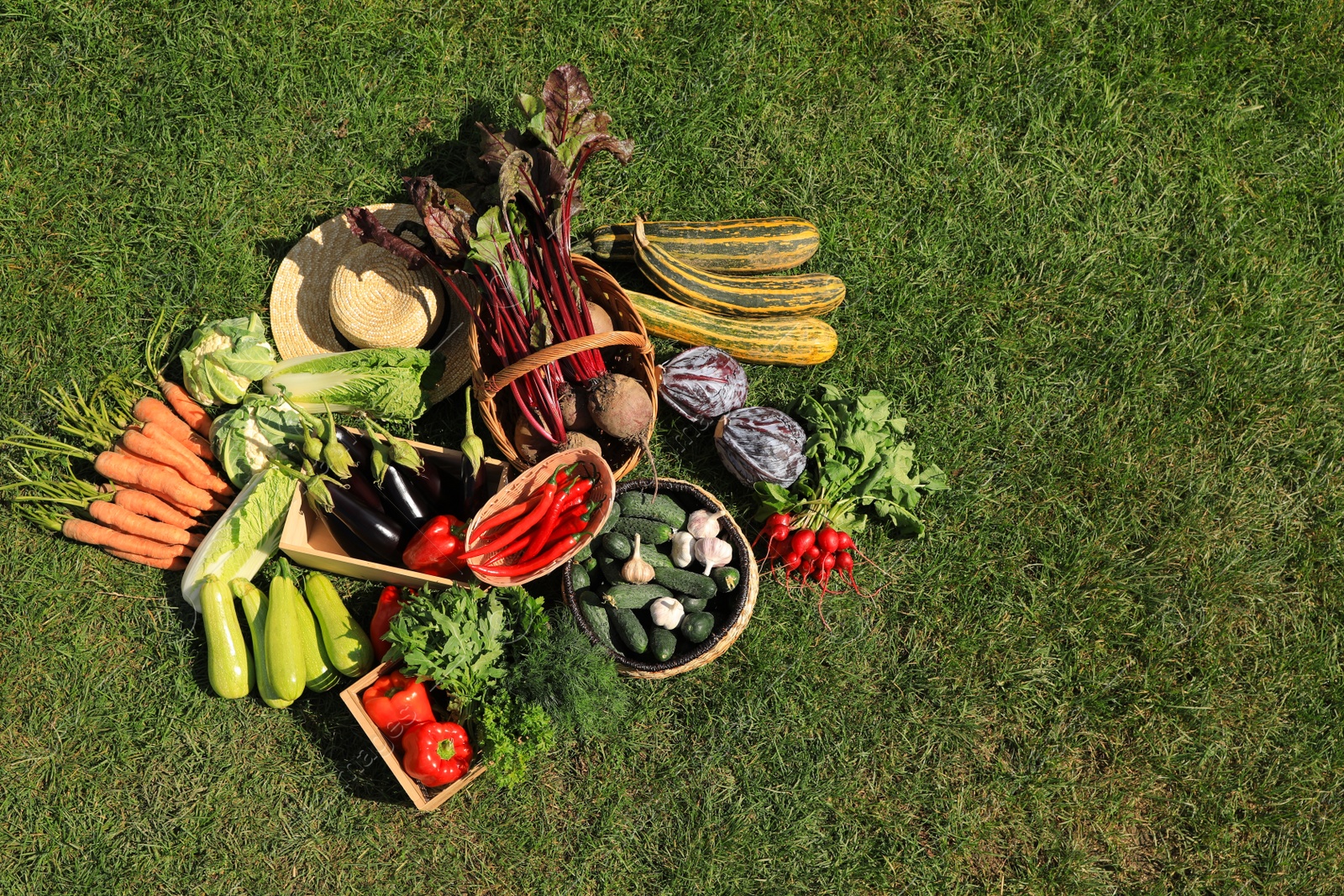 Photo of Different fresh ripe vegetables on green grass, flat lay. Space for text