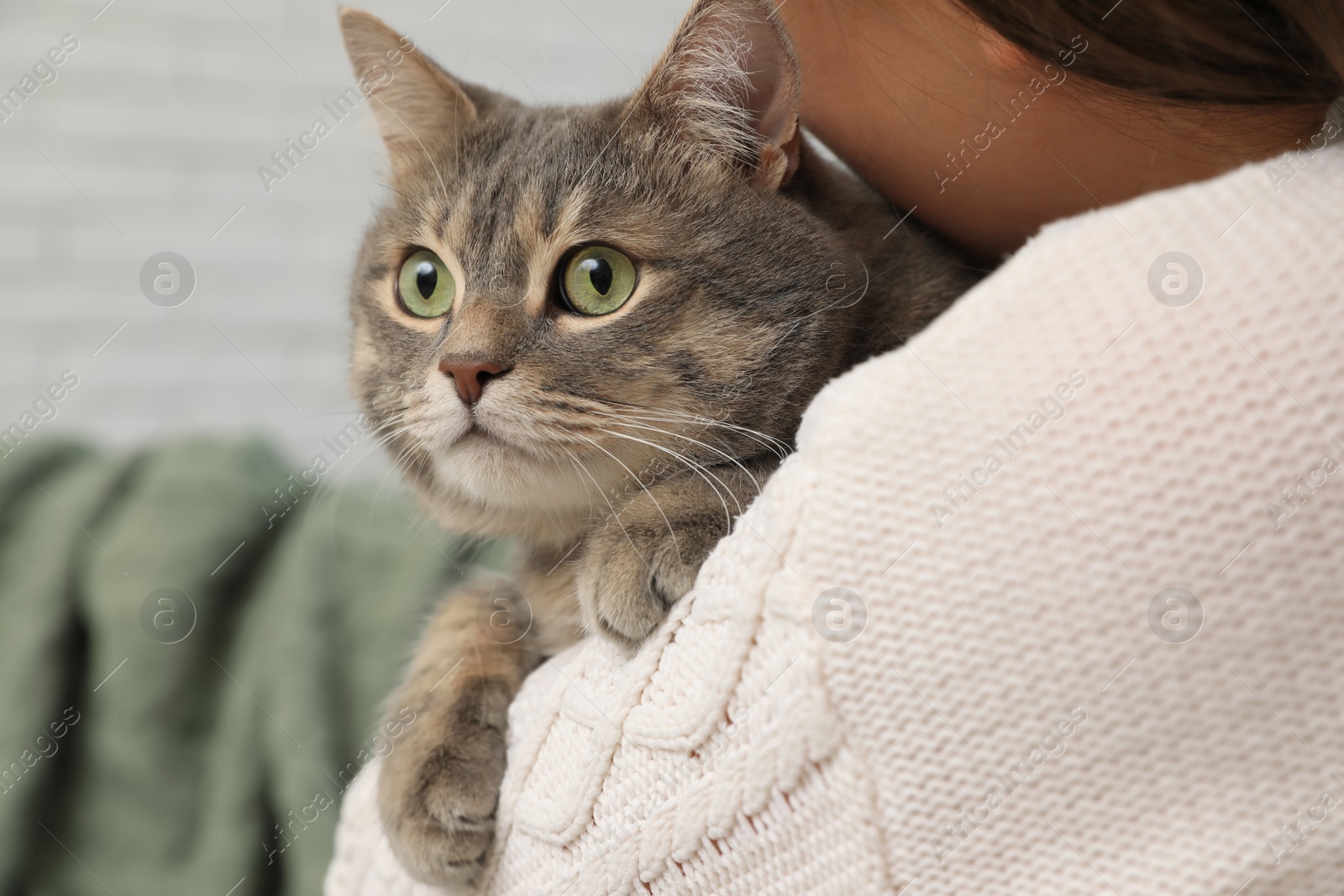 Photo of Woman holding her cat at home, closeup. Cute pet