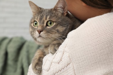 Photo of Woman holding her cat at home, closeup. Cute pet