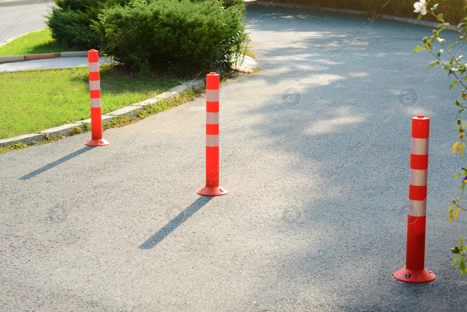 Photo of Traffic plastic poles on asphalt road outdoors