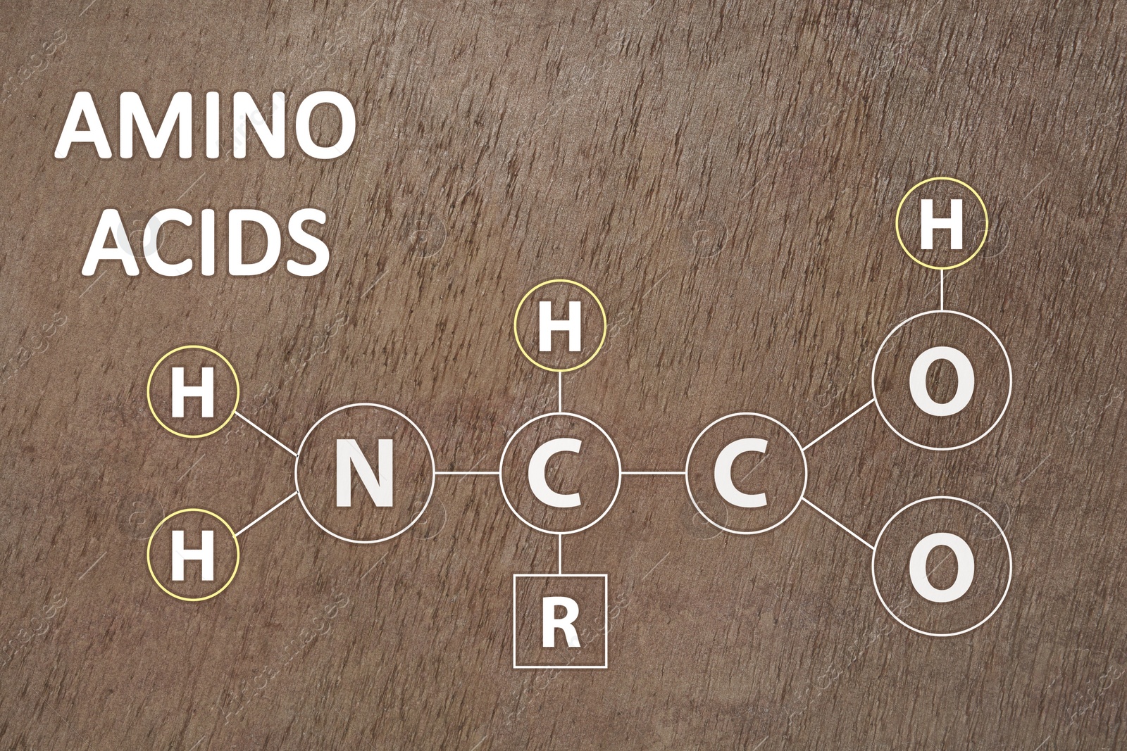 Illustration of Text Amino Acids  and chemical formula on brown stone surface