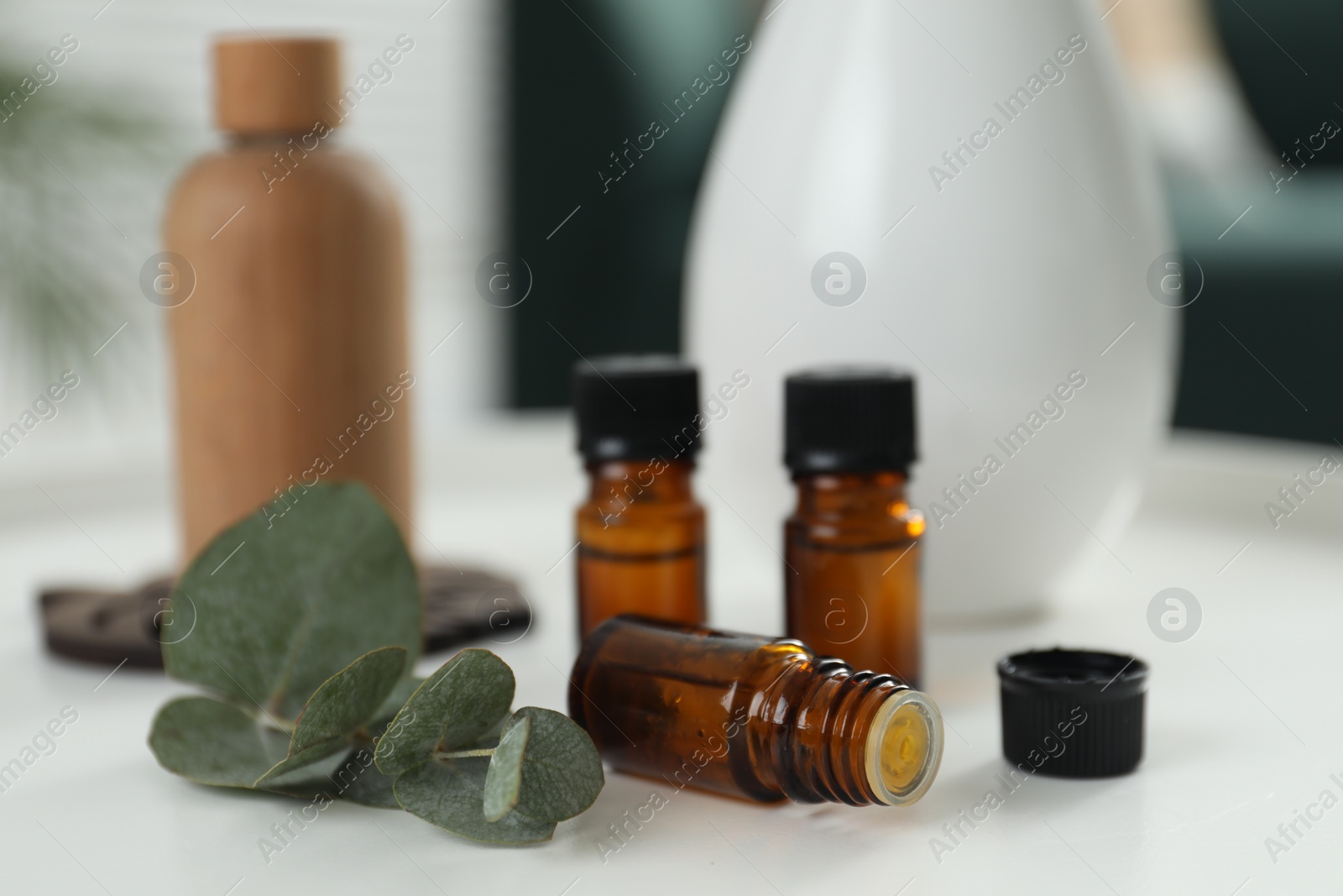 Photo of Aromatherapy. Bottles of essential oil and eucalyptus leaves on white table