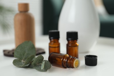 Aromatherapy. Bottles of essential oil and eucalyptus leaves on white table