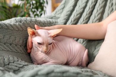Photo of Woman stroking cute Sphynx cat at home, closeup. Lovely pet