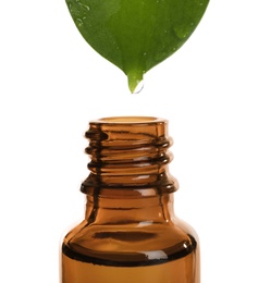 Photo of Drop of essential oil falling from leaf into glass bottle on white background