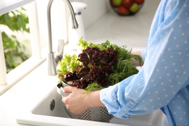 Photo of Woman washing fresh lettuce and dill in kitchen sink, closeup