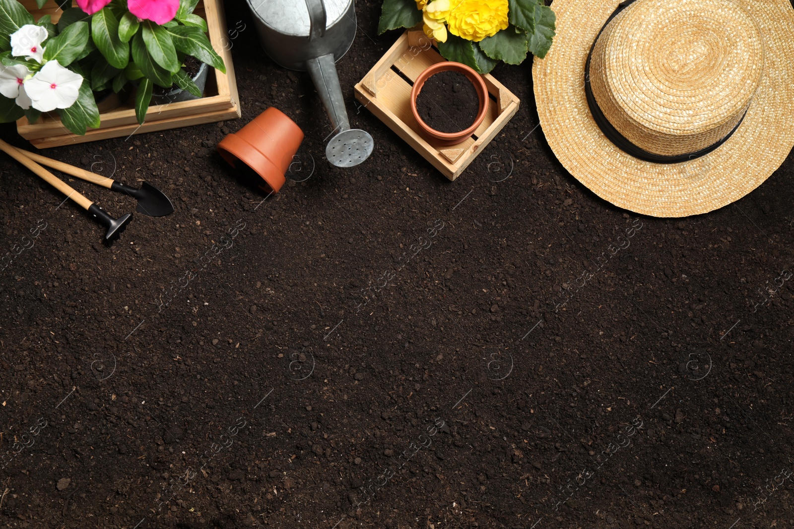 Photo of Flat lay composition with gardening tools and flowers on soil, space for text