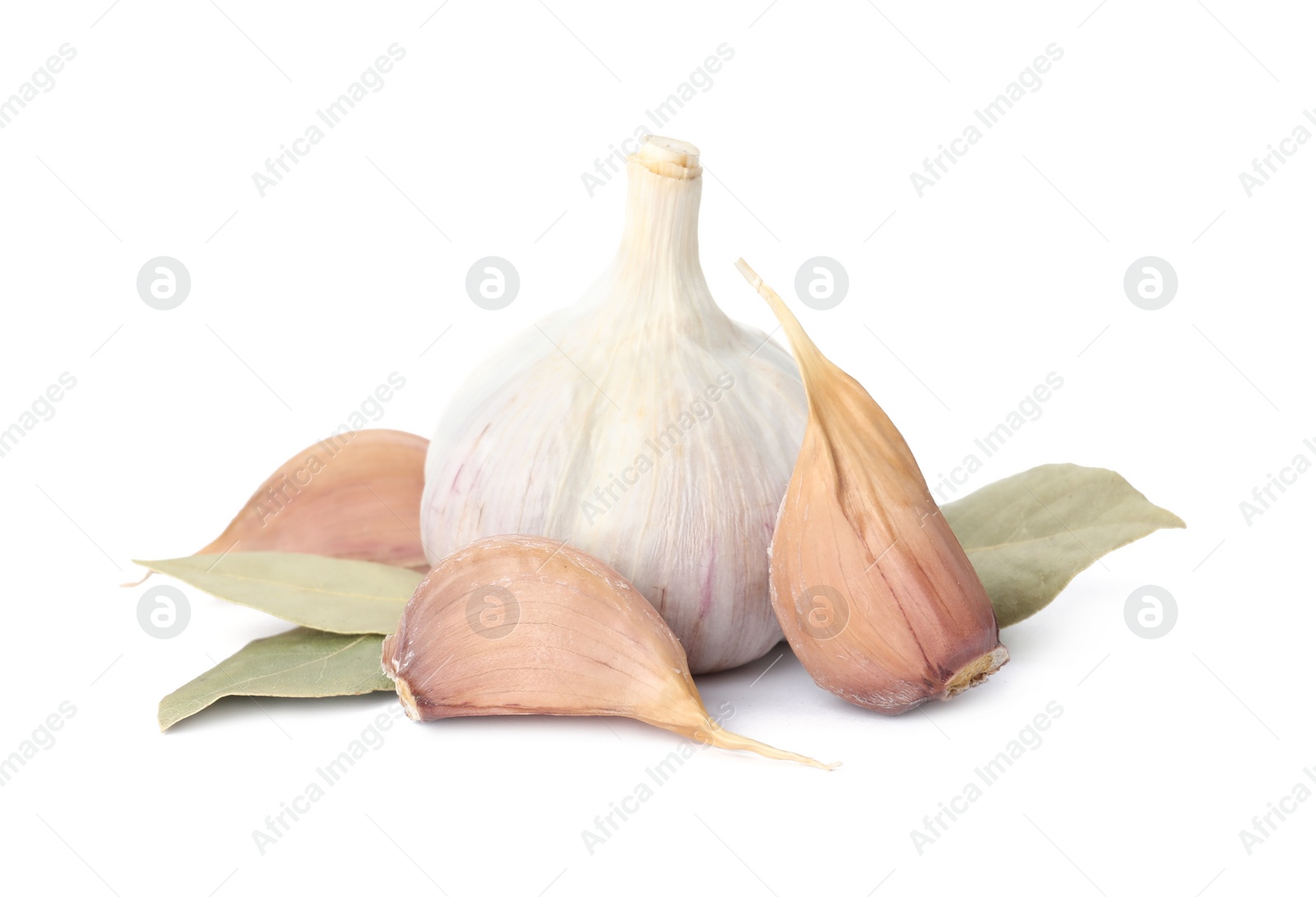 Photo of Fresh garlic bulb and cloves with bay leaves isolated on white. Organic food