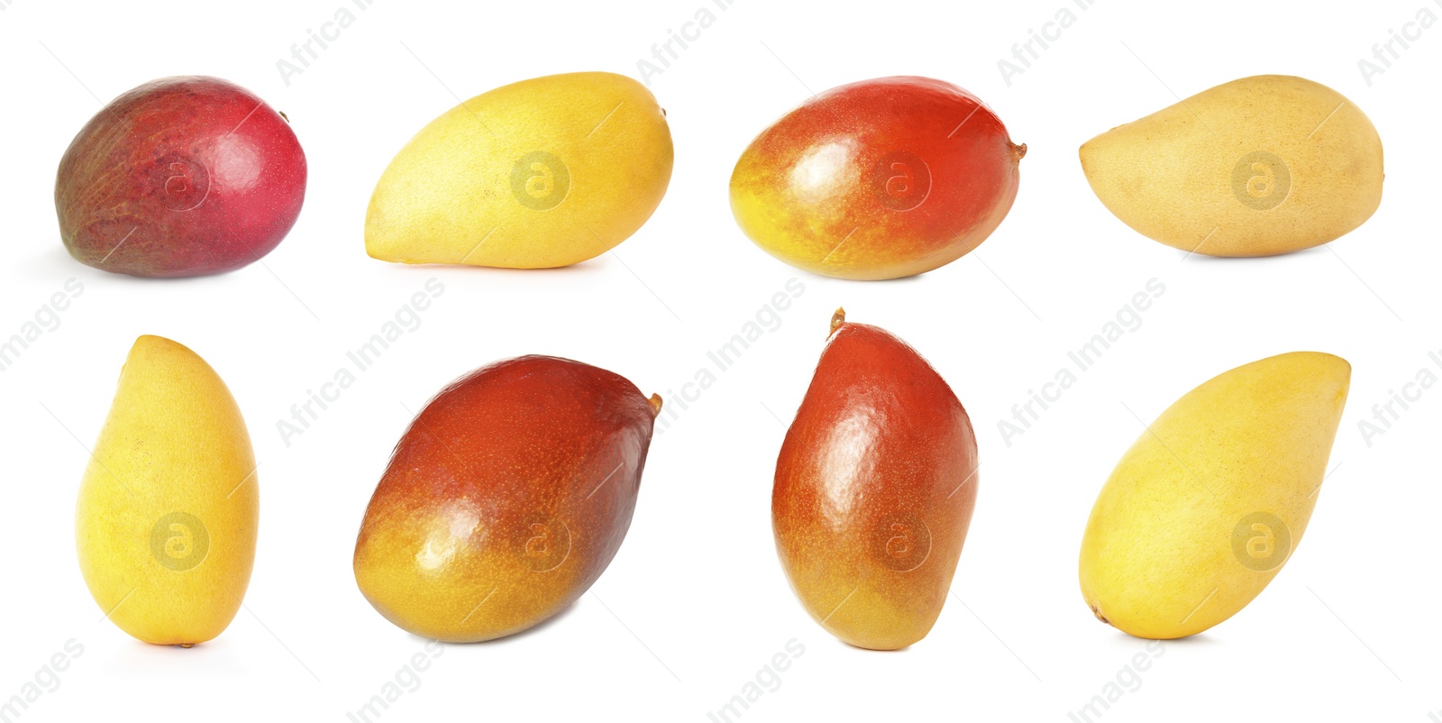 Image of Set of delicious mangoes on white background. Banner design