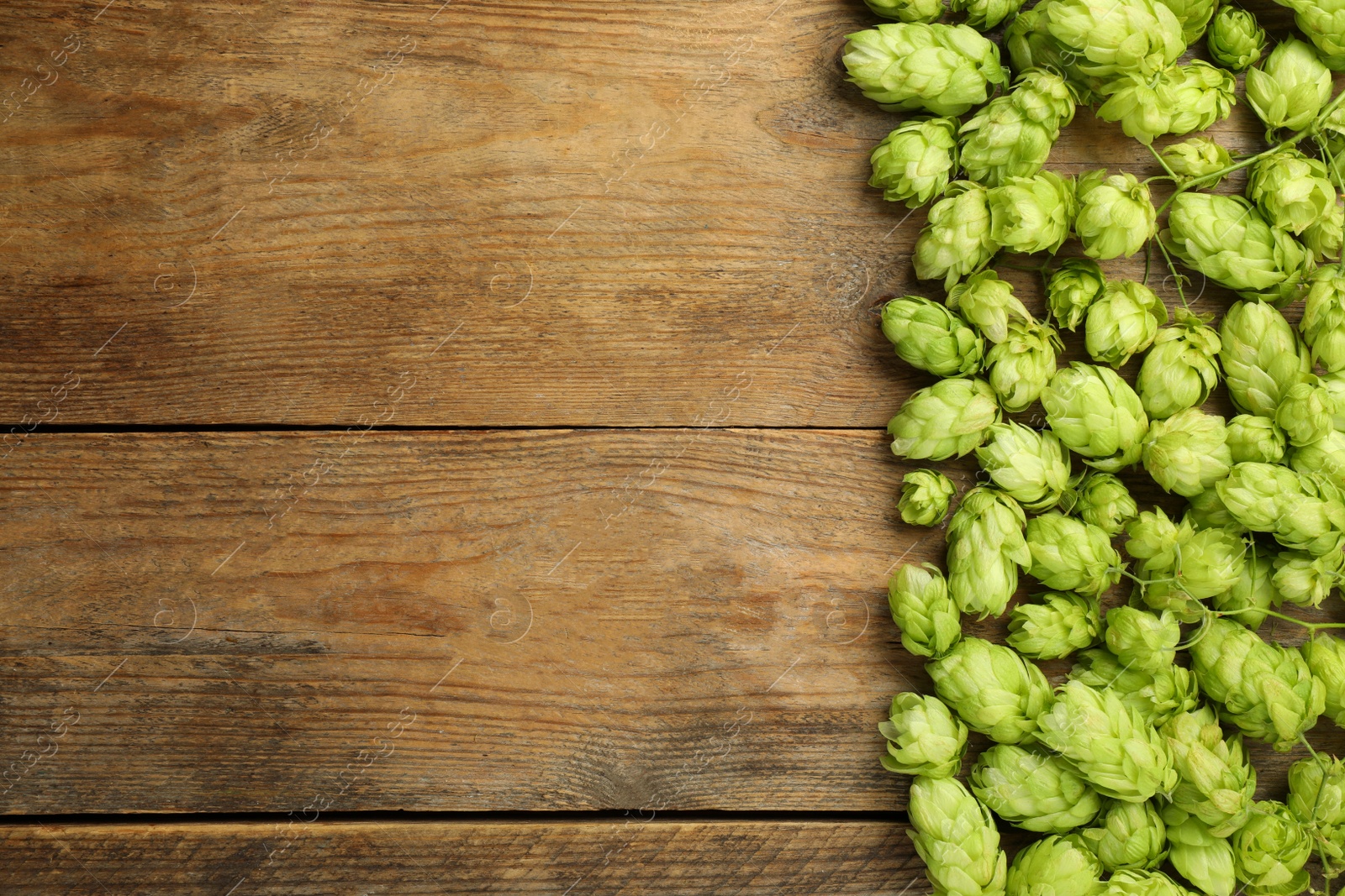 Photo of Fresh green hops on wooden table, top view. Space for text