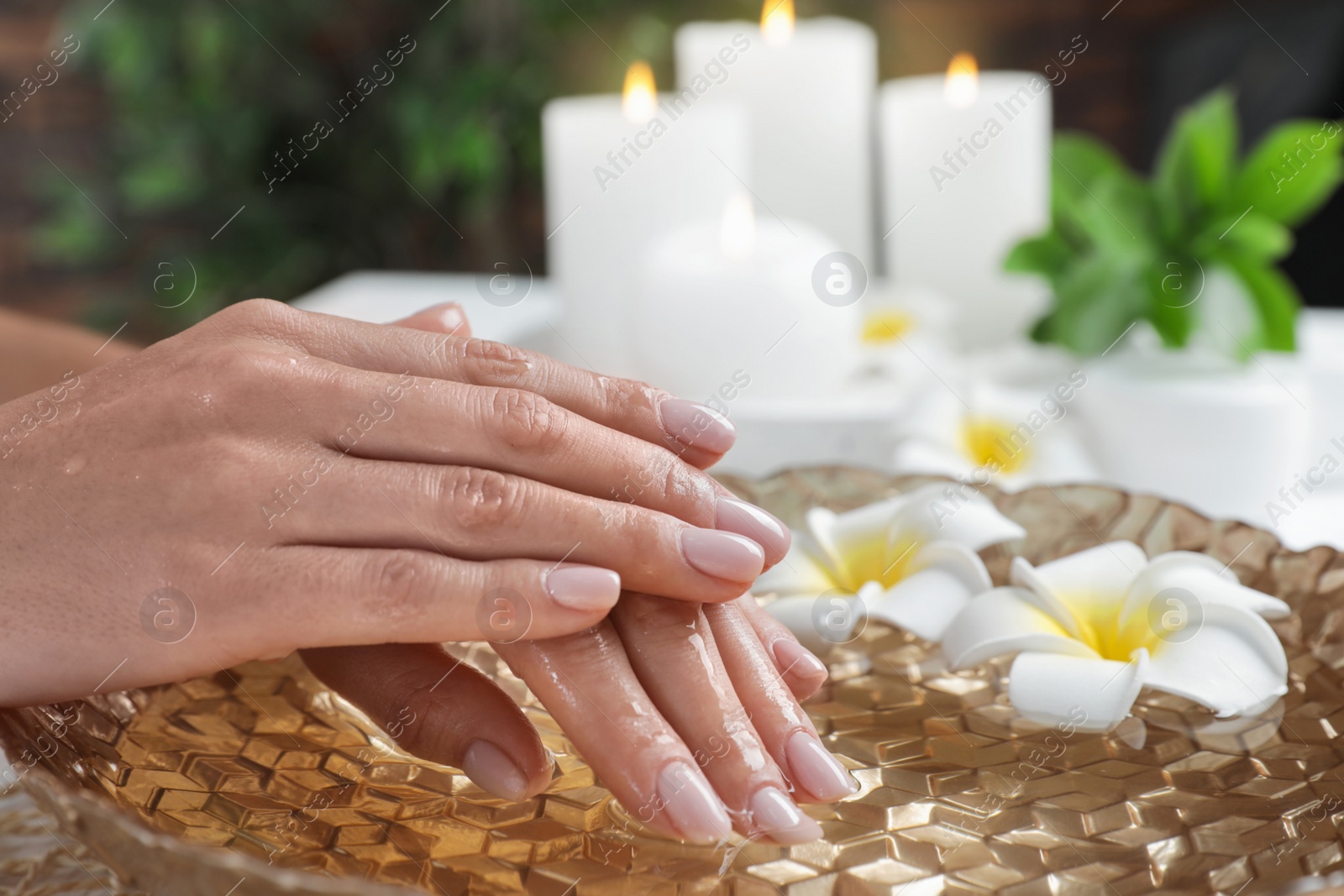 Photo of Woman soaking her hands in bowl of water and flowers, closeup with space for text. Spa treatment