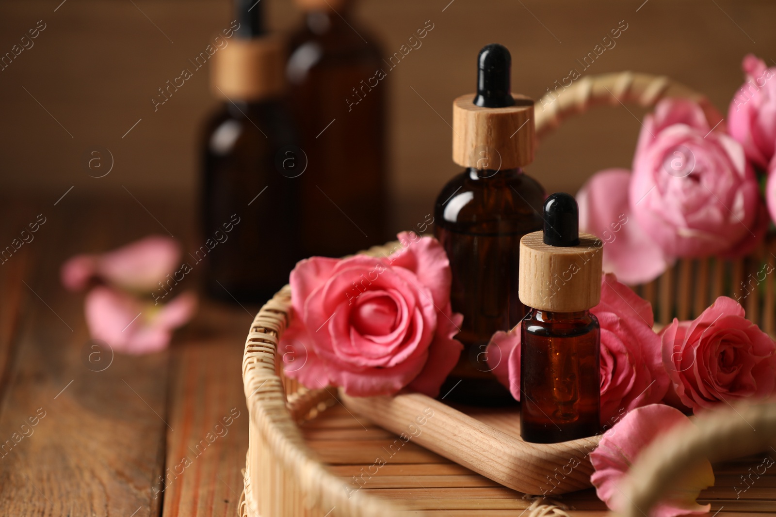 Photo of Tray with bottles of essential rose oil and flowers on wooden table, closeup