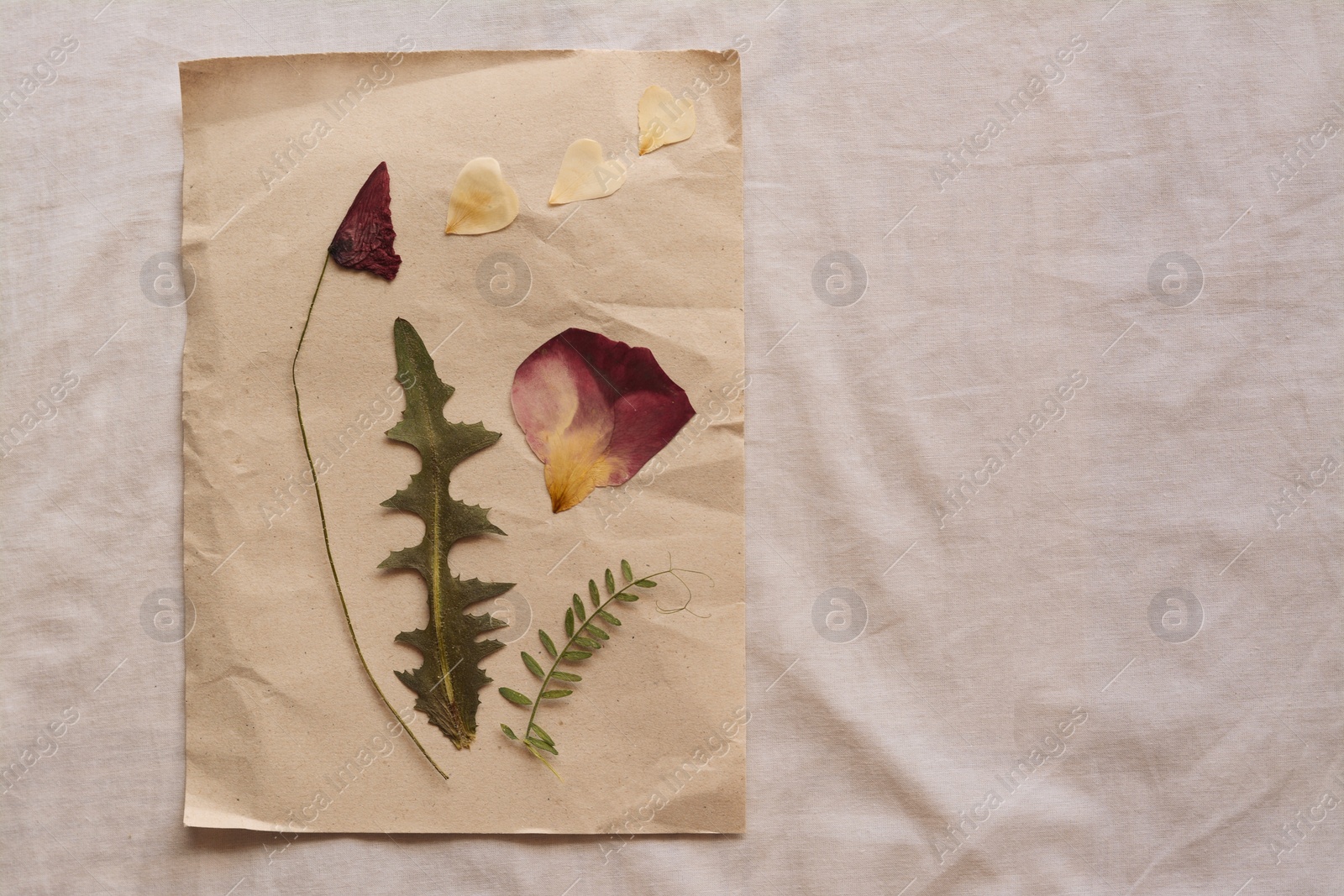 Photo of Sheet of paper with dried petals and leaves on white fabric, top view. Space for text