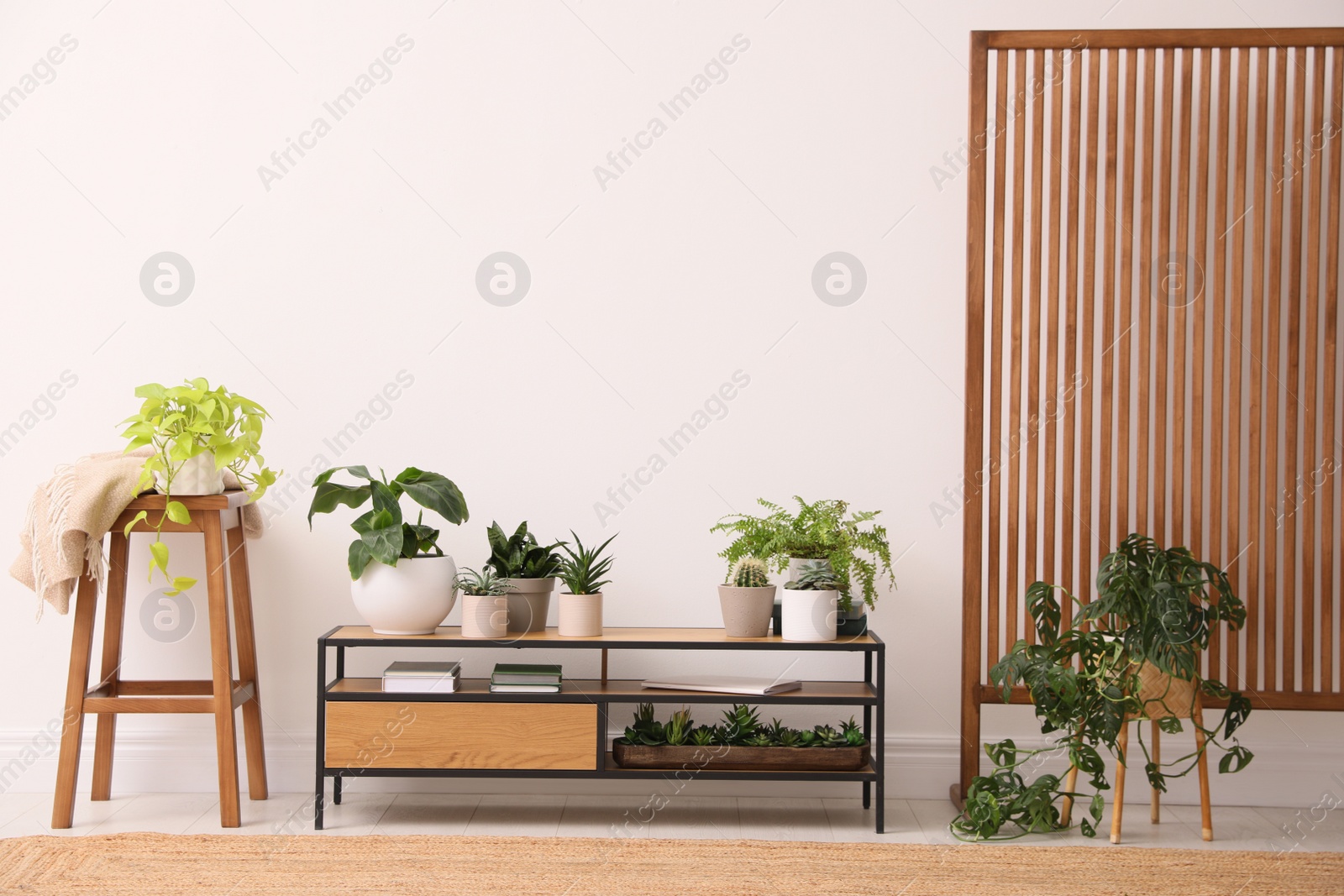 Photo of Elegant room interior with wooden cabinet and beautiful houseplants near light wall