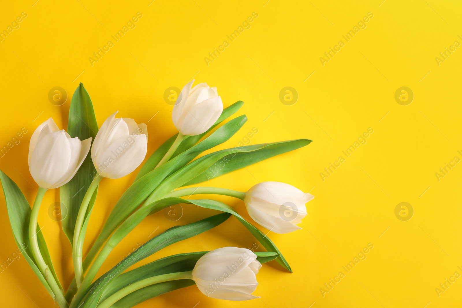 Photo of Many beautiful tulips on yellow background, flat lay. Space for text