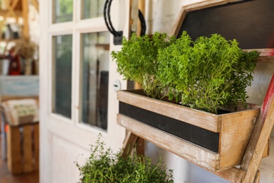 Photo of Wooden rack with home plants near shop, space for text