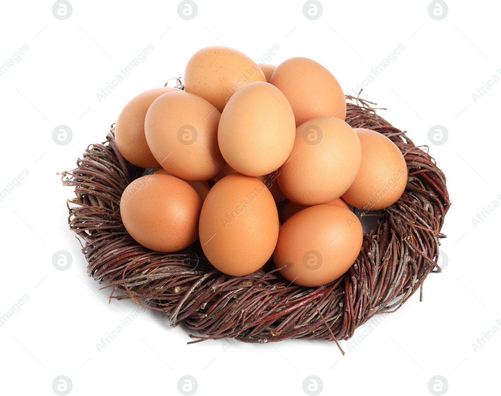 Photo of Chicken eggs and nest isolated on white