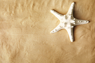 Photo of Beautiful starfish on sand, top view. Space for text