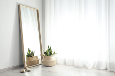 Large mirror and potted plant near window in light room