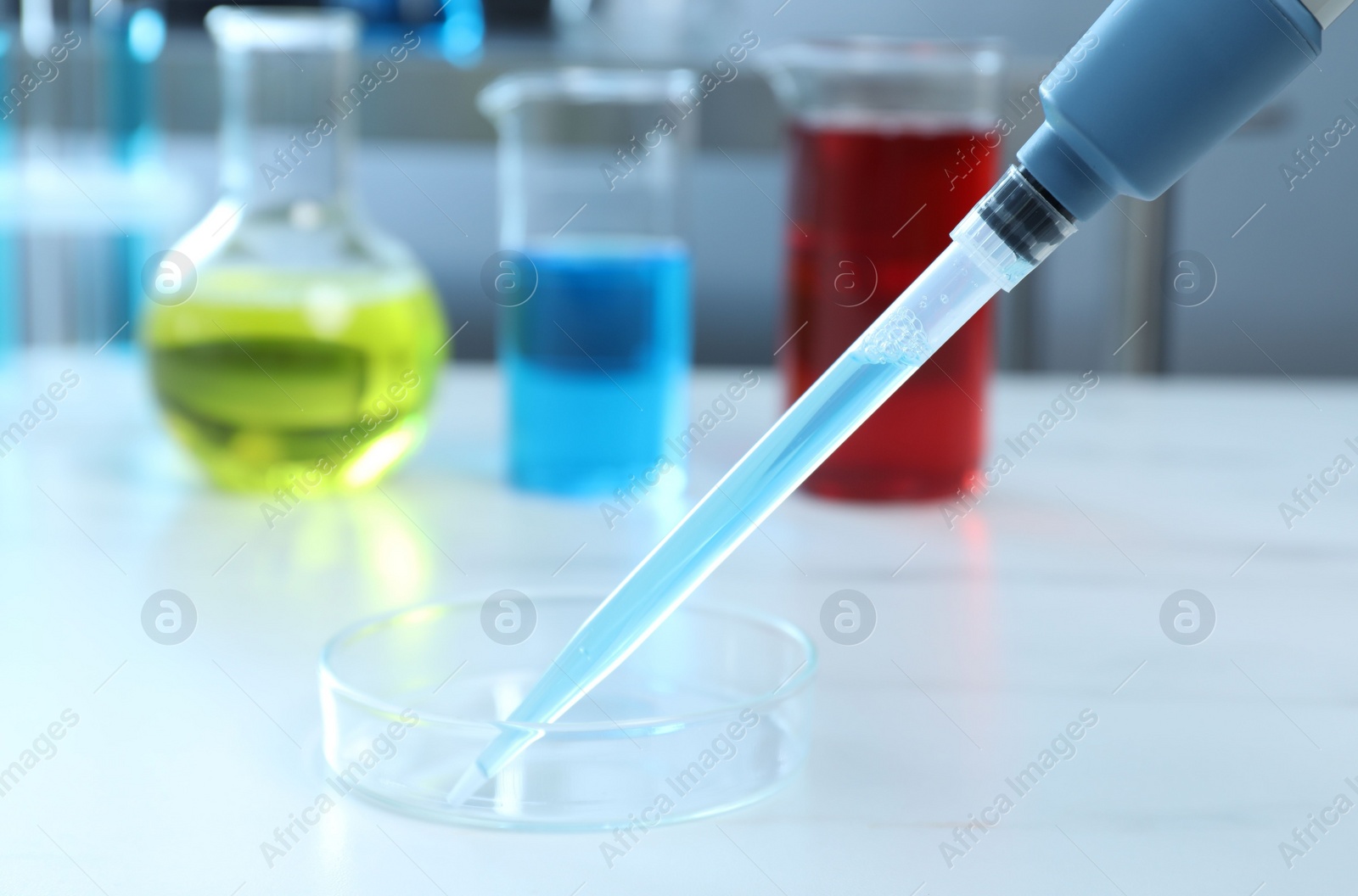 Photo of Laboratory analysis. Micropipette with liquid and petri dish on white table, closeup