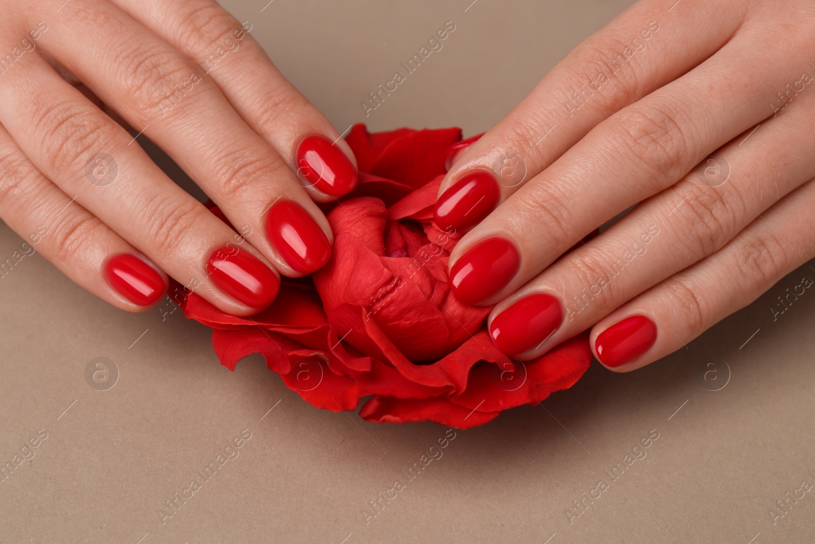 Photo of Woman with red polish on nails touching flower on beige background, closeup